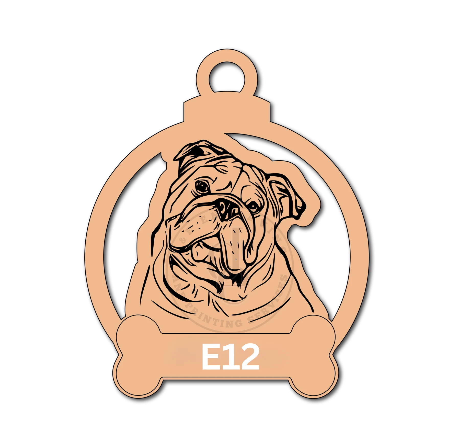 Pets and Animals 12